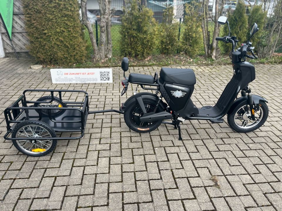 Elektroroller eRoller EB 250 P Microroller  25 km/h oder 45 km/h in Olpe