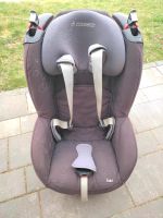 Kindersitz Maxi Cosi Tobi 9-18 kg Sachsen-Anhalt - Groß Ammensleben Vorschau