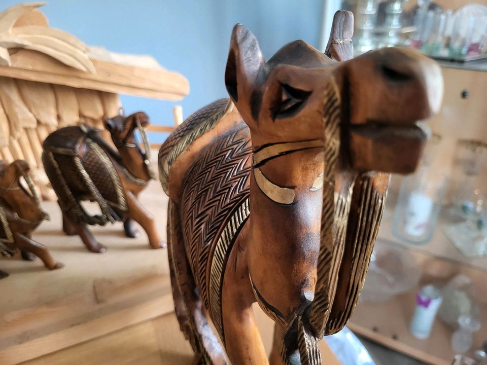 Holz  Kamel Kamele Handarbeit Krippenfigur verschiedene Größen in Dortmund