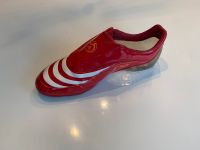 Adidas F50 Sachsen-Anhalt - Staßfurt Vorschau