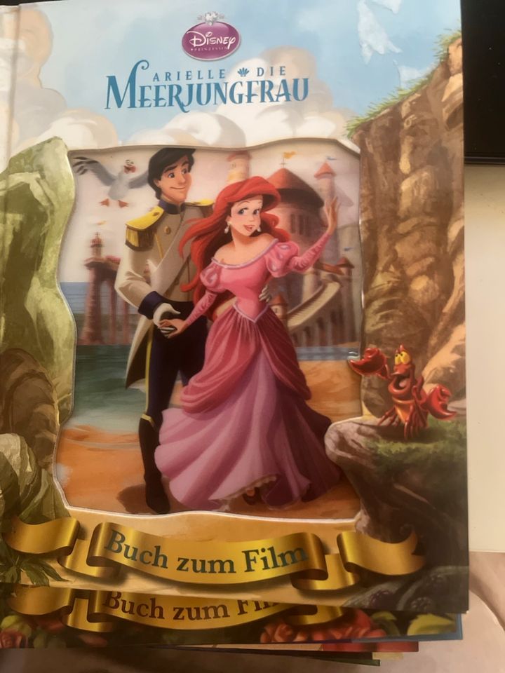 Disney Buch in Berlin