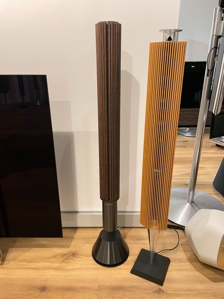 Bang Olufsen BeoLab 28 black anthrazit / dark oak in Limburg