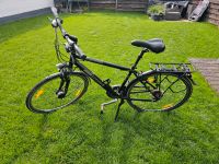 Pegasus Citybike 48 er Nordrhein-Westfalen - Bergheim Vorschau