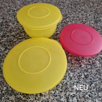 Festpreis! Set Tupperware Junge Welle- Schüsseln Baden-Württemberg - Grafenau Vorschau