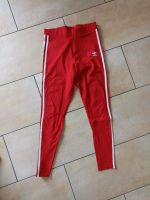 Adidas Leggings Größe 40 Bayern - Moosthenning Vorschau