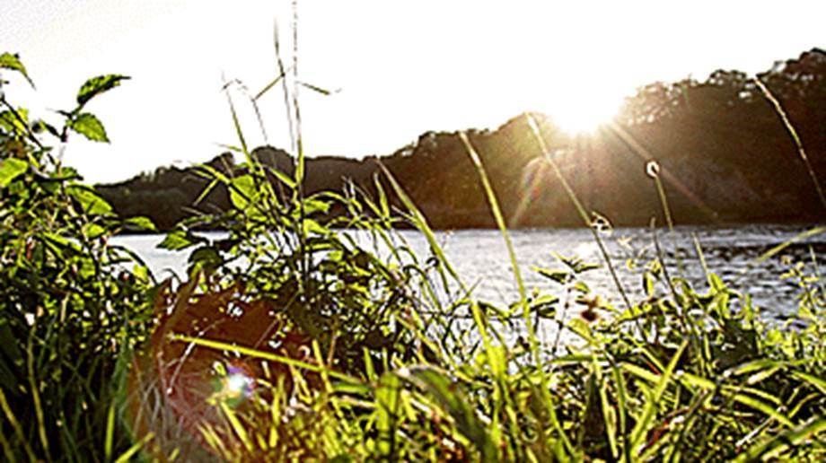 Campinplatz/Tinyhaus/Mobilheim/direkt am See// in Traubenmühle