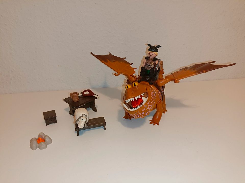 Playmobil Dragons (9 Sets) in Wriezen