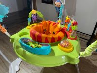 Fisher Price Jumperoo Thüringen - Leinefelde Vorschau