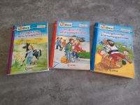Lese Bücher Niedersachsen - Großheide Vorschau