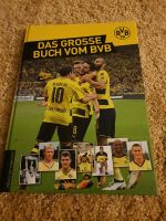 Buch Das große Buch vom BVB Echter Fanartikel von BVB Hessen - Hasselroth Vorschau