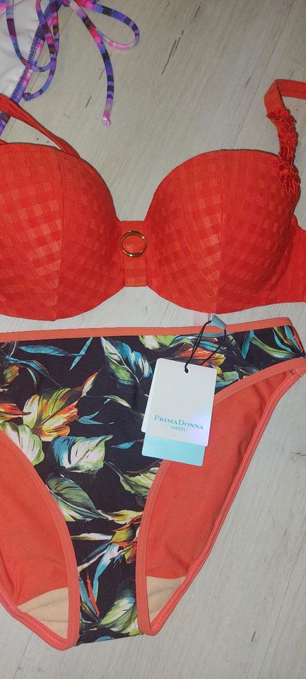 Prima Donna bikini BH neu 65D 65E S M 38 in Schleswig-Holstein - Böklund |  eBay Kleinanzeigen ist jetzt Kleinanzeigen