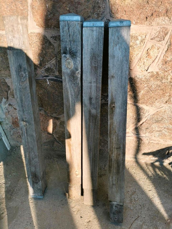 Holzpfosten für Zaun in Radebeul