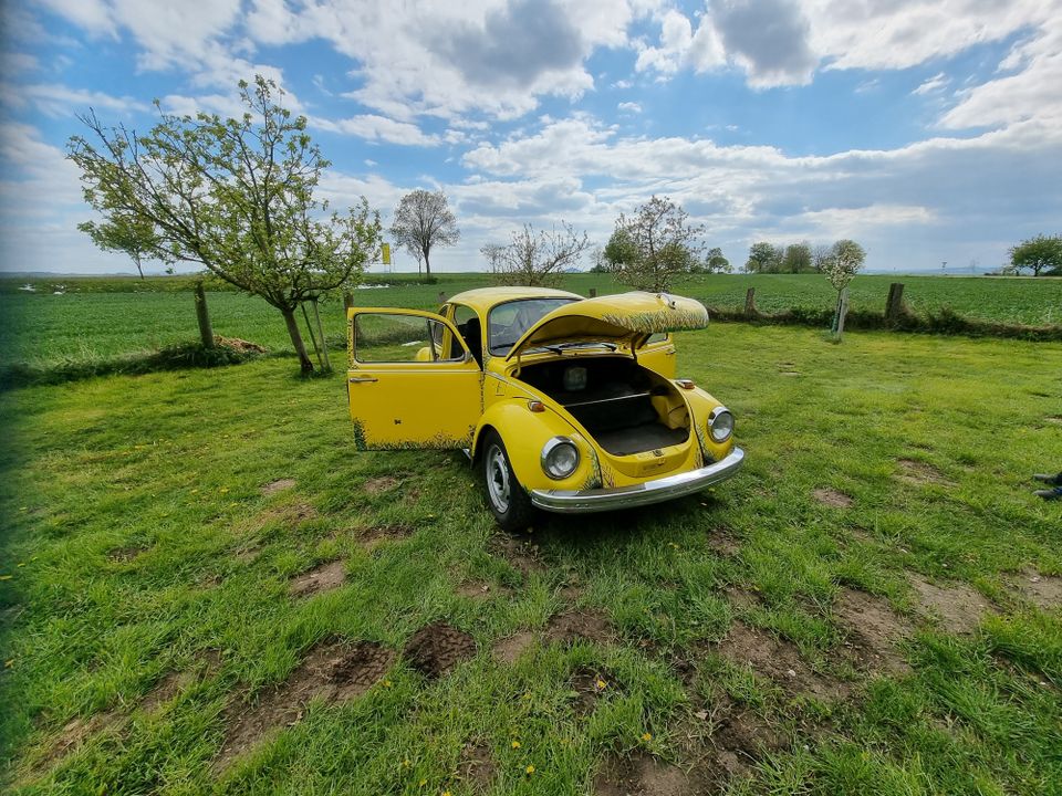 Oldtimer VW Käfer 1303 Baujahr 1974 Unikat 50 PS G-Kat in Borgentreich