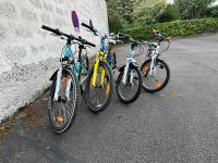 Kinderfahrräder MTB Jungen Mödchen Baden-Württemberg - Heilbronn Vorschau