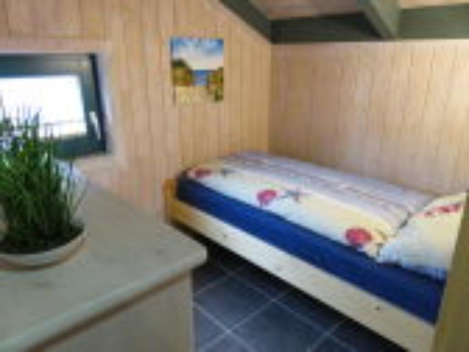 + LAST MINUTE 3.5.-24.5.25 + Urlaub am Meer Ostsee mit Hund + in Kronsgaard