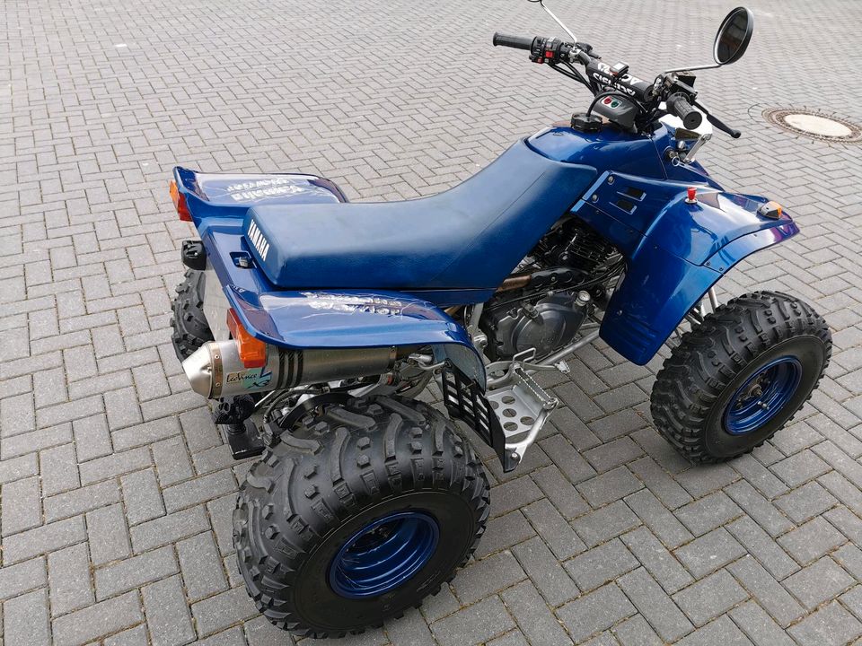 [ Yamaha YFM 350 Warrior *TÜV 2026 *Leo Vince ] in Diez