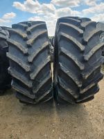 650/65 R38 Trelleborg TM800 Hessen - Bruchköbel Vorschau