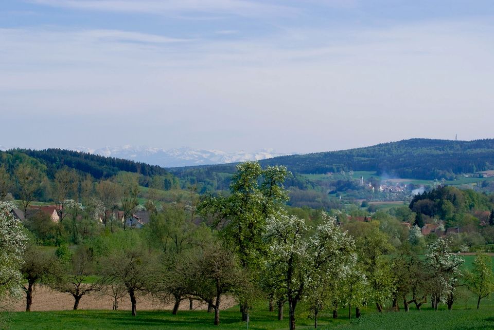 Ferienprogramm 2024 (Reiterferien und Reitkurse) in Deggenhausertal