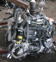 ✔️ Motor 3.0D4D 1KD 150PS TOYOTA LAND CRUISER 71TKM UNKOMPLETT Berlin - Wilmersdorf Vorschau