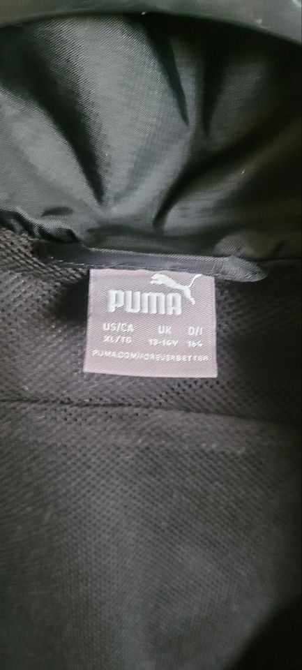 Windbreaker / Regenjacke Puma Größe 164 in Saalfeld (Saale)