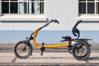 VAN RAAM Easy Rider SPEZIAL 24Ah 880Wh Dreirad PROFI DEALER Nordrhein-Westfalen - Gelsenkirchen Vorschau