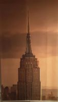 Flächengardine New York, Motiv Empire State Building Rheinland-Pfalz - Wittlich Vorschau