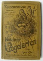 Köhlers nützliche Vogelarten und ihre Eier. Ornithologie, um 1905 Baden-Württemberg - Königsbach-Stein  Vorschau