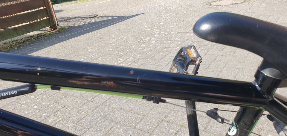 BMX Fahrrad 20 Zoll in Wunstorf