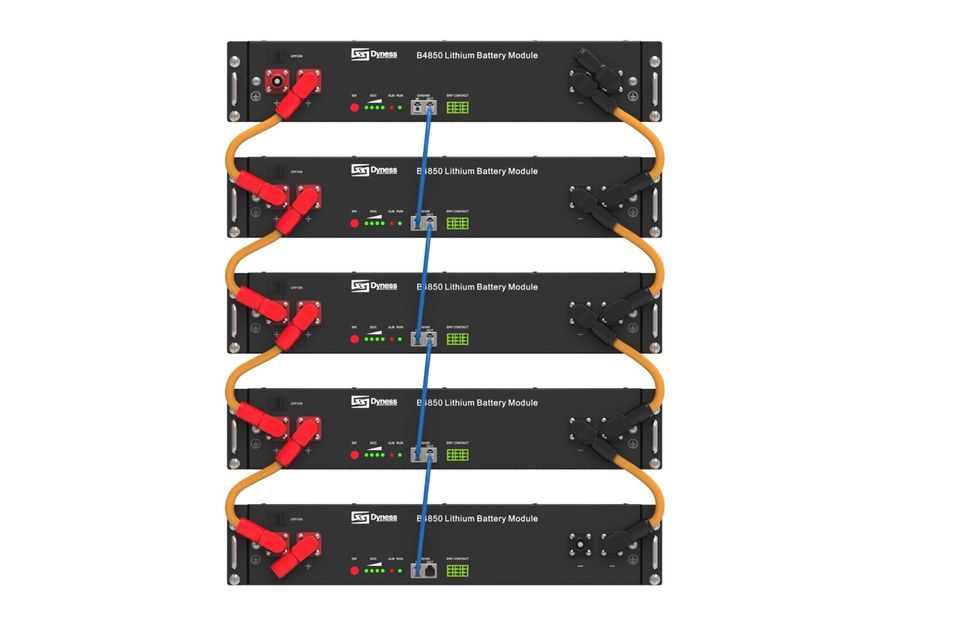 Dyness Niedervolt Speicher B4850 LV 2.40kWh 48V in Karlsbad