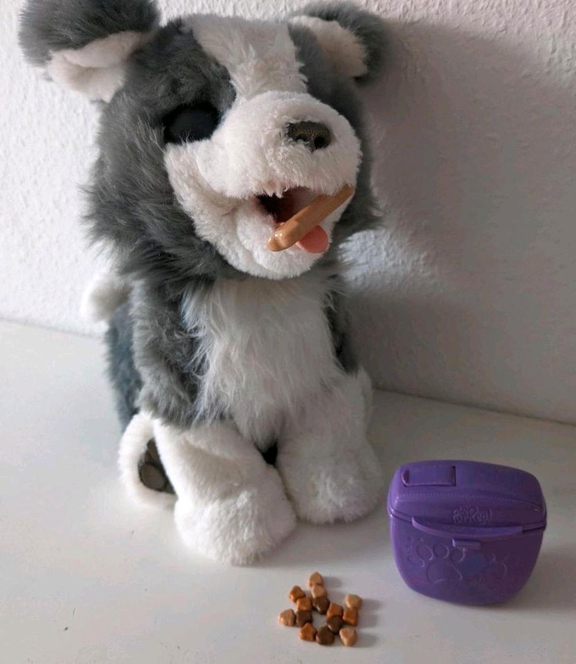 FurReal Hund Ricky mit Knochen, Leckerlies und Futterbox in Kelkheim