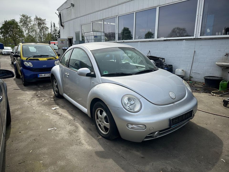 VW Beetle 1,9 TDI in Winsen (Luhe)