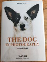 Buch: The Dog in Photographie (1839 - today) Baden-Württemberg - Laudenbach Vorschau