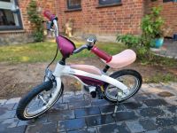 BMW Kidsbike 12 Zoll Kinderfahrrad Laufrad himbeerrot Güstrow - Landkreis - Güstrow Vorschau