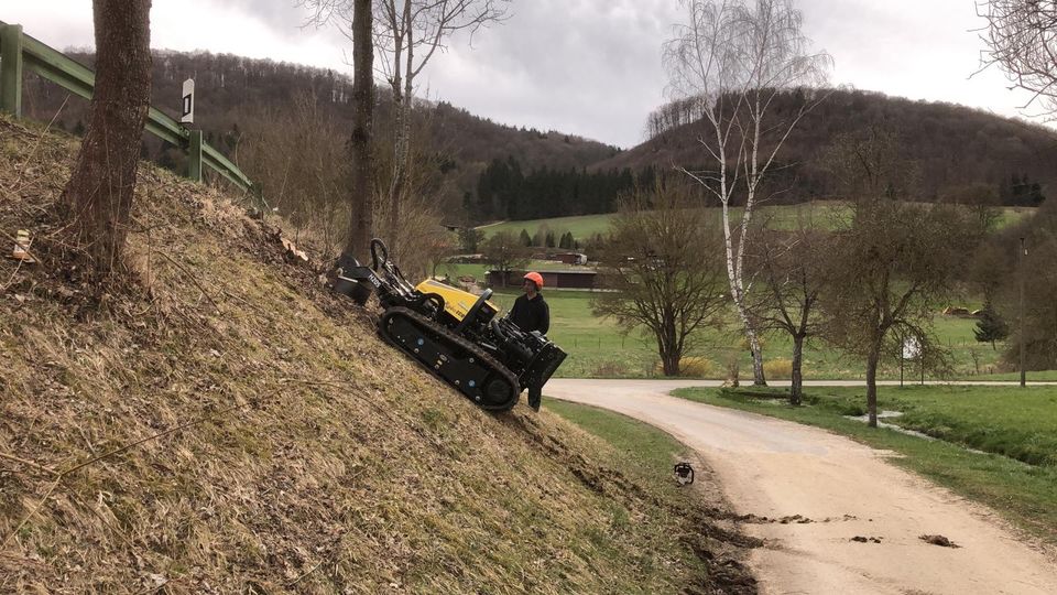 Wurzelfräsen, Baumstumpf entfernen, Stubbenfräsen in Oberkochen