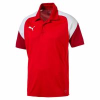 Puma Esito 4 Herren Polo Shirt T-Shirt rot L NEU Leipzig - Kleinzschocher Vorschau