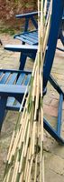 Angelruten (?) Konvolut Bambus-Stäbe Niedersachsen - Norden Vorschau