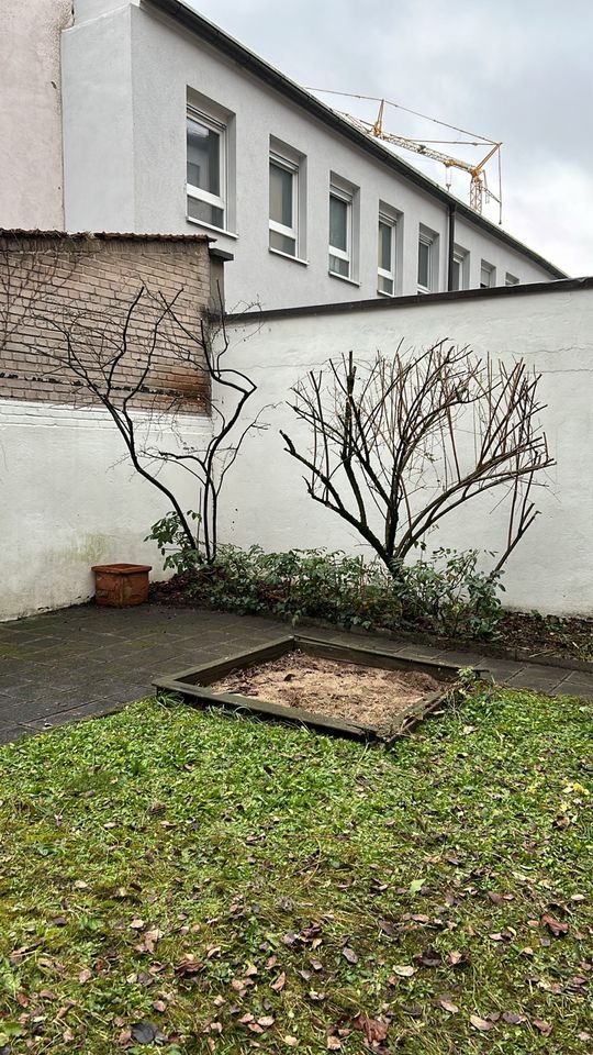 Gartenarbeit Gartenpflege Baumpflege Hecken schneiden Rasen mähen in Nürnberg (Mittelfr)