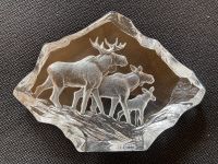 Mats Jonasson Elch Family Serie Wildlife Glasskulptur Kunstglas Nürnberg (Mittelfr) - Mitte Vorschau