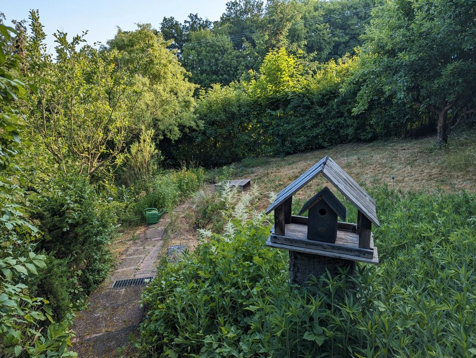 Eigentumsgarten in sehr reizvoller Lage zu verkaufen in Hartmannsdorf 