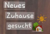Suche Wohnung in Pivitsheide VL/VH oder Lage Hörste Nordrhein-Westfalen - Detmold Vorschau