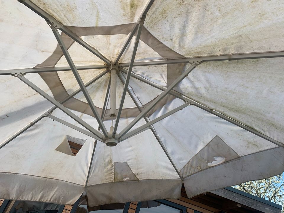 Sonnenschirm 3m Durchmesser in Schöllkrippen