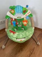 Fisher Price Rainforest Wippe Dortmund - Lütgendortmund Vorschau