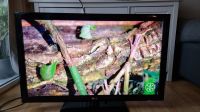 LG 42LD450 Fernseher TV 1080p Berlin - Köpenick Vorschau