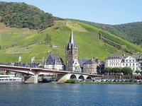Weinberggrundstücke mit Rebstöcken in Zell (Mosel) Rheinland-Pfalz - Zell (Mosel) Vorschau