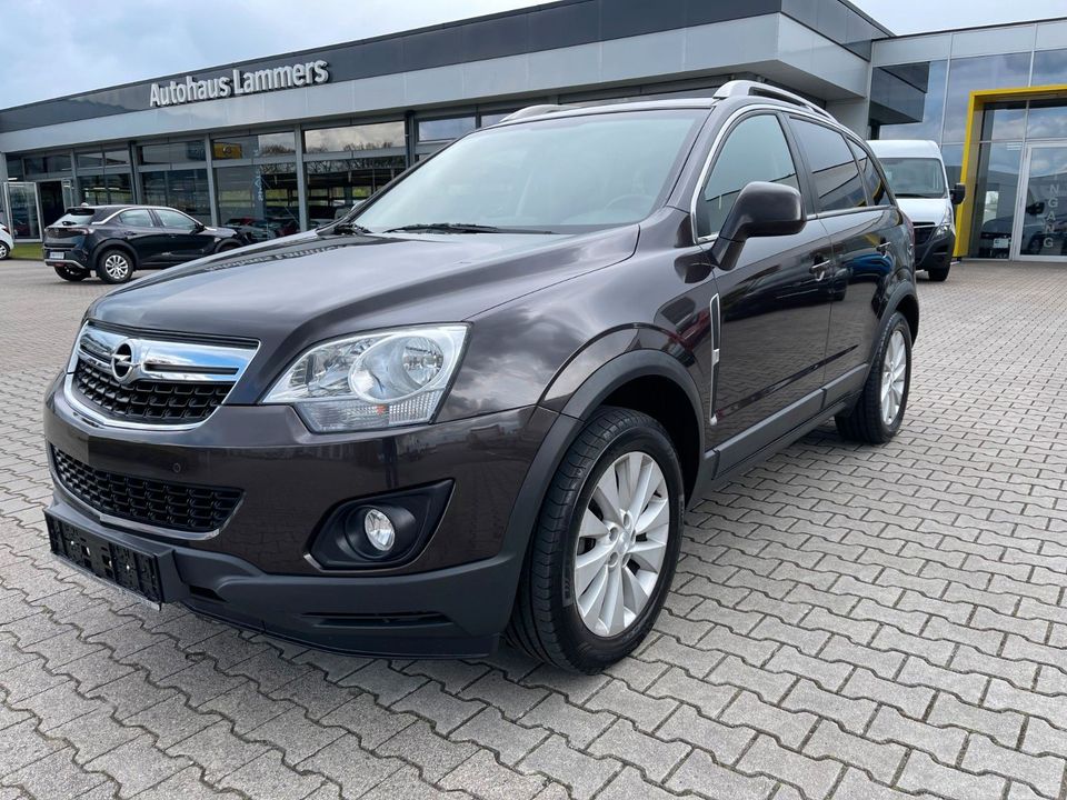 Opel Antara in Lohne