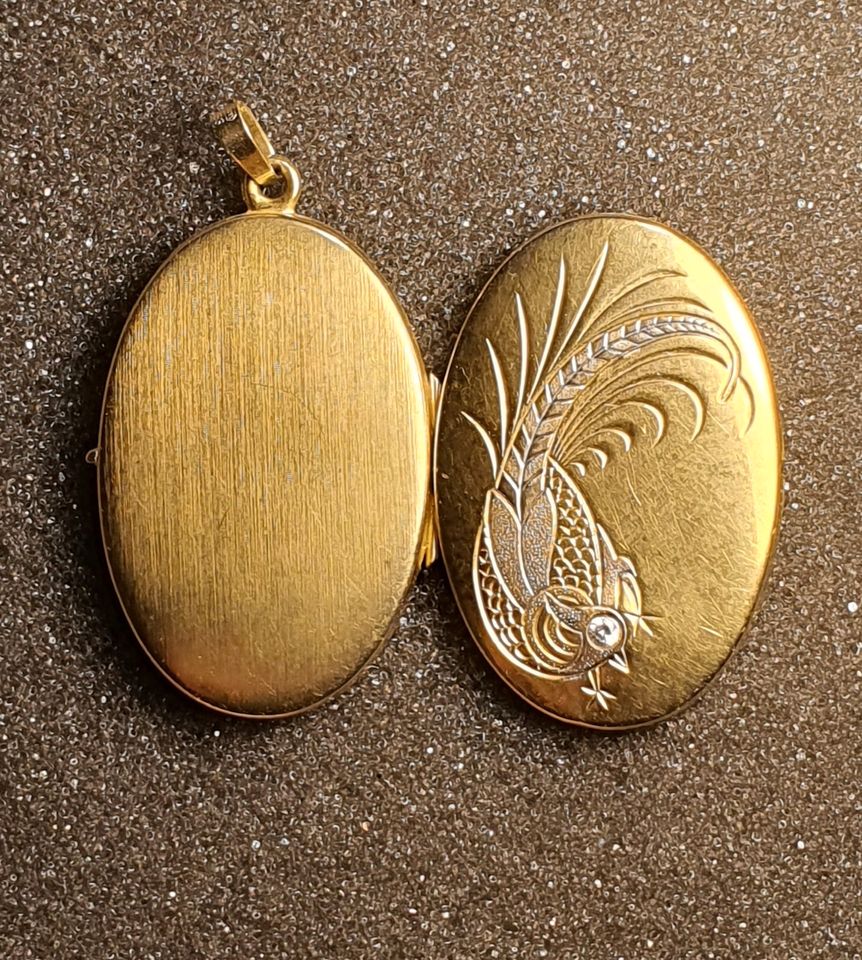 333 Goldanhänger Medallion 42x24mm Gelbgold Vogel Stein in Rodenberg