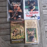 Konvolut Schäferhund Bücher Berlin - Hohenschönhausen Vorschau