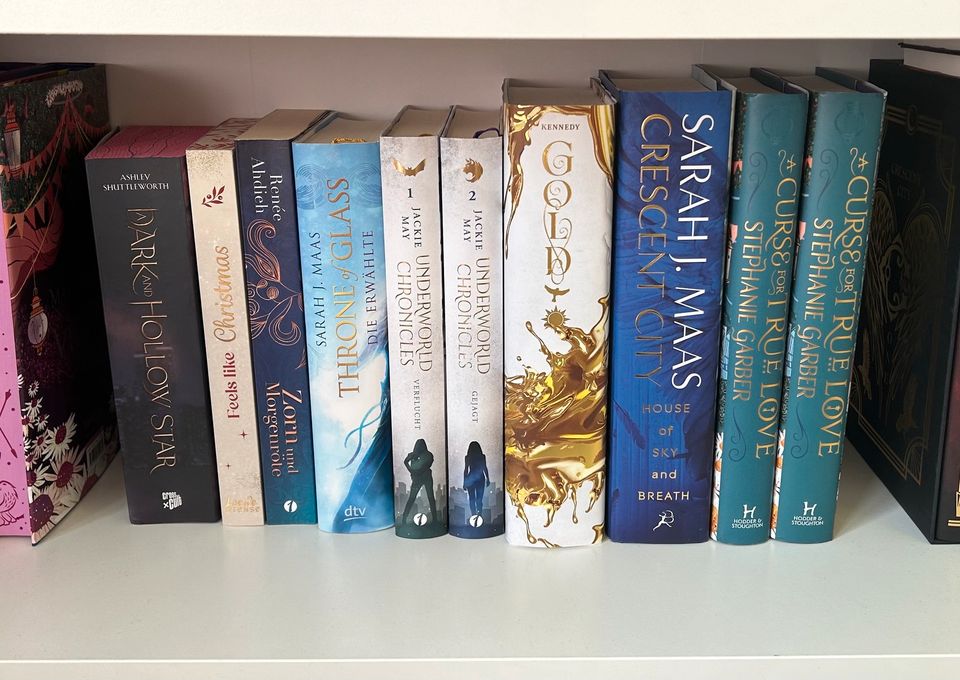 Div. Bücher / Fairyloot, Waterstones, Bücherbüchse, Sarah J. Maas in Kiel