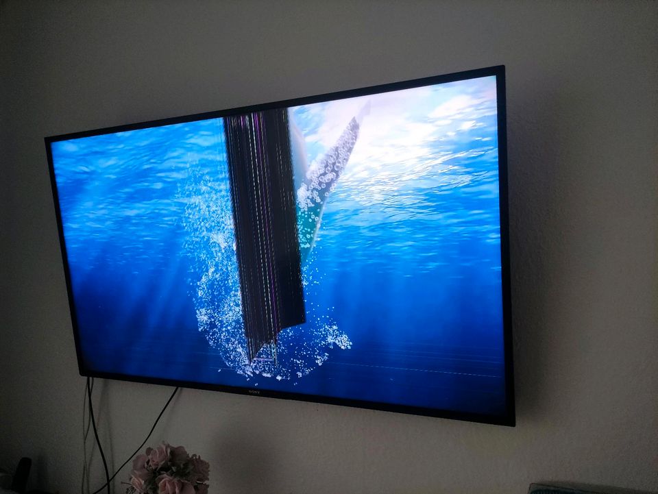 Sony Smart TV Display schaden  55 zoll  2020 Serie  KD-55XH8096 in Berlin