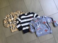 Pullover 104 H&M Topolino Pandas Gestreift Bagger Flugzeuge Sachsen - Pegau Vorschau